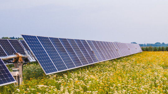 Community Solar: Solar Farms & The Environment - Part 2
