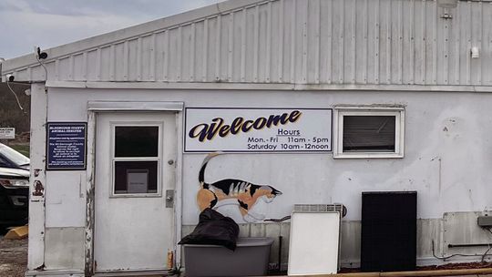 County Board Votes Against Transferring Funds to Animal Control Fund