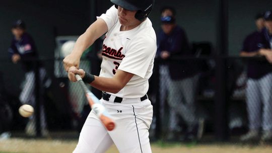 Elbe And Rigg Receive All-State Diamond Honors