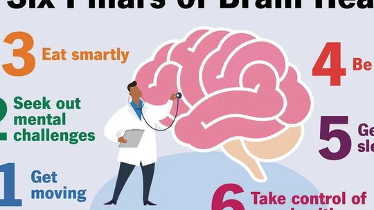 Keeping the Gray Matter Tip Top