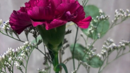 Pick Up a Free Bloom at Bloom