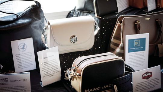 Power of the Purse Raises Over $65k