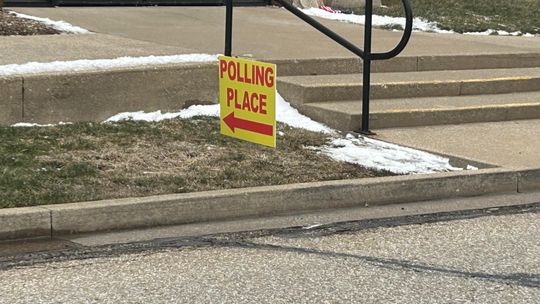 Macomb Poll Worker Relieved of Duties on Election Day