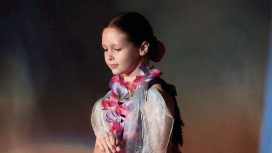 YMCA of McDonough County 'Cirque Du Soiree' Fundraiser Raises Over $5k for Local Org