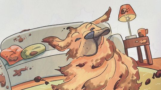 'Zeus is a Dog:' MHS Grad Pens Children's Book about Beloved Pet