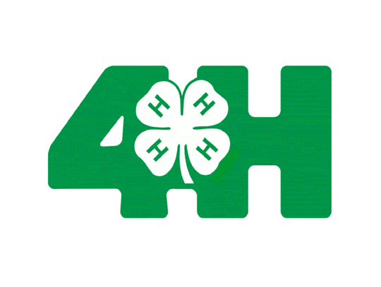 4-H Goal Diggers February Meeting