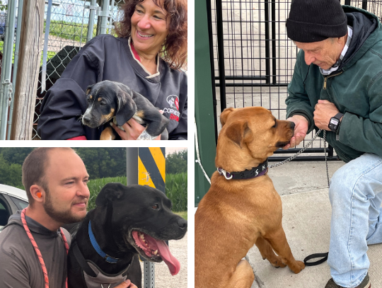 A Long and Winding Road... Bumps, Curves, Twists & Turns: The Journey Toward a New Animal Shelter