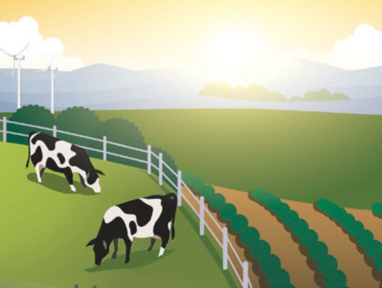 After the Chores are Done...