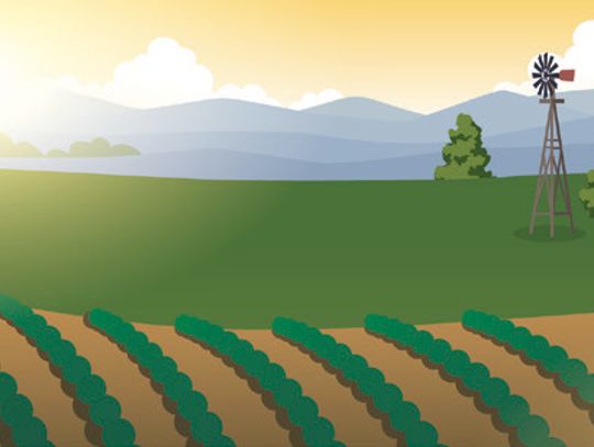 After the Chores are Done...