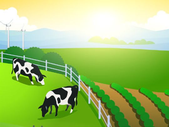 After the Chores are Done...