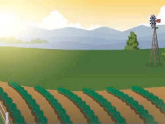 After the Chores are Done...