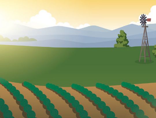 After the Chores are Done...