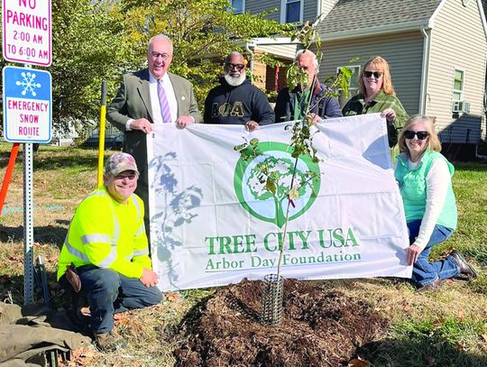 Arbor Day in Macomb
