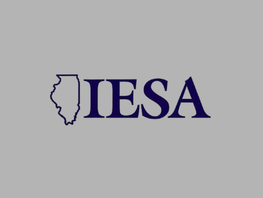 Area Runners Race At IESA State Cross Country Finals