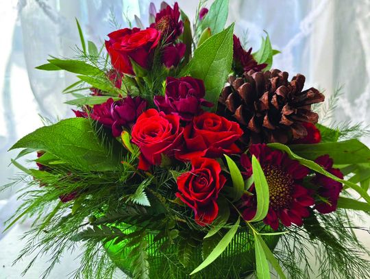 Bloom Macomb: A Year in Review