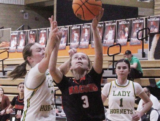 Bombers Defeat Trojans, Stung By Hornets At LTC