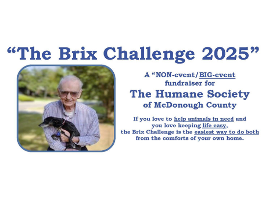 Brix Challenge 2025 Great Results for Local Animals in Need