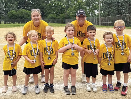 Bushnell Park District Summer Ball Teams