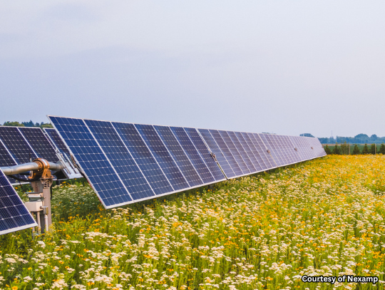 Community Solar: Solar Farms & The Environment - Part 2