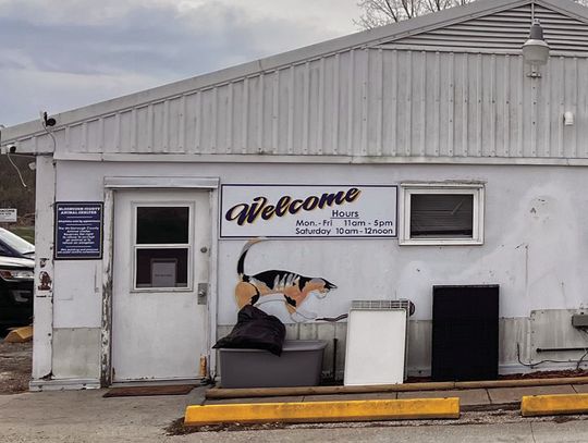 County Board Votes Against Transferring Funds to Animal Control Fund