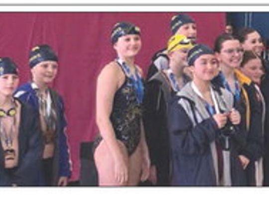 Dolphins Shine at District Championships