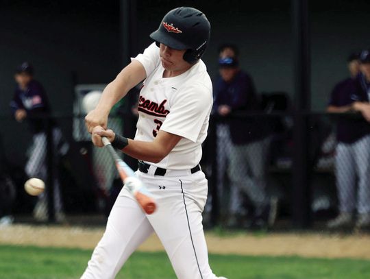 Elbe And Rigg Receive All-State Diamond Honors