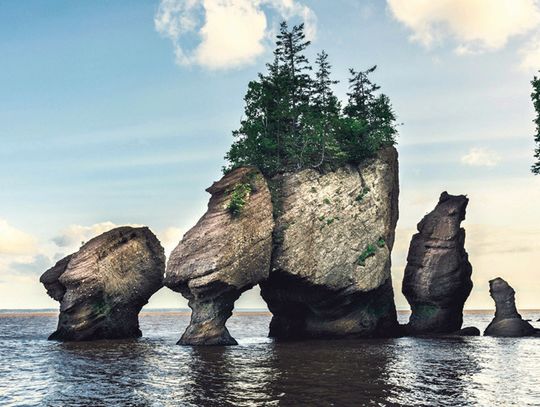 Experience Canada’s Coastal Wonders with YMCA Senior Center
