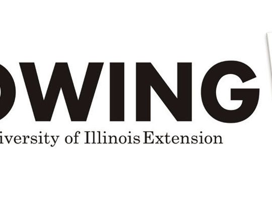 Fall Flower Visitors – Goldenrod Soldier Beetles