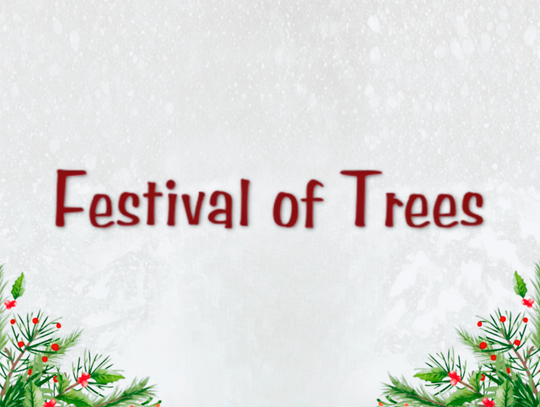 Festival of Trees Hiatus; Family Fun Night Planned