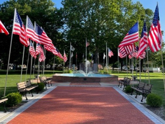 Flags of Love Display on Veterans Day