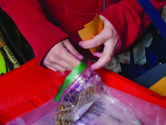 Growing Together: Native Seed Share Marks Five Years of Community and Ecological Impact