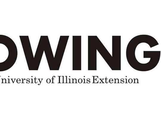 Growing Without Soil: Getting Started with Hydroponics at Home