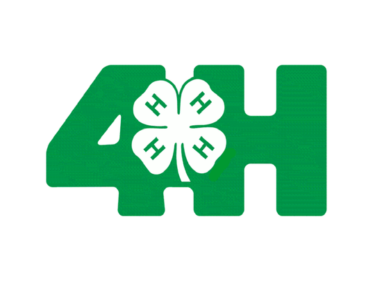 Illinois 4-H Scholarships