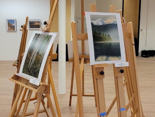 John Hemingway Exhibit Review