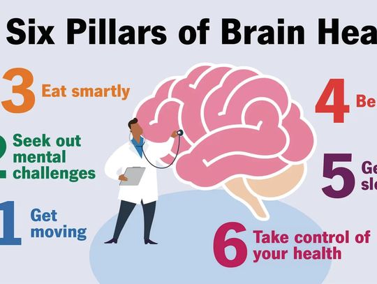 Keeping the Gray Matter Tip Top