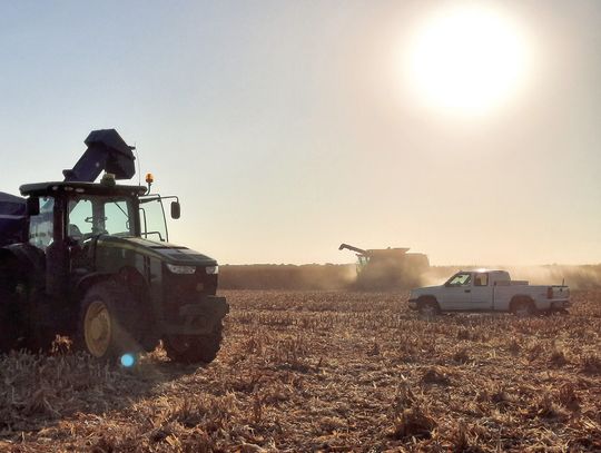 Landowner Series – Using a Flexible Cash Farm Lease