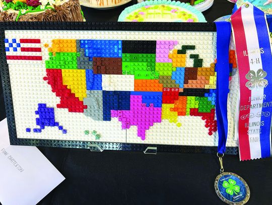 Local 4-H Youth Shine at Illinois State 4-H Fair