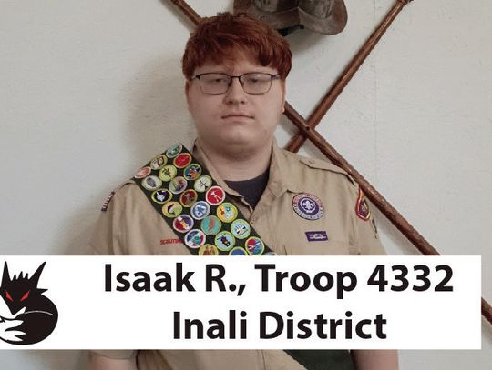 Local Eagle Scouts Complete Projects