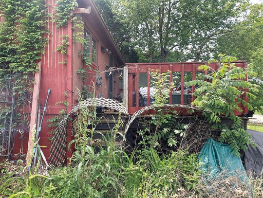 Macomb Animal Hoarding Case: One Year Later