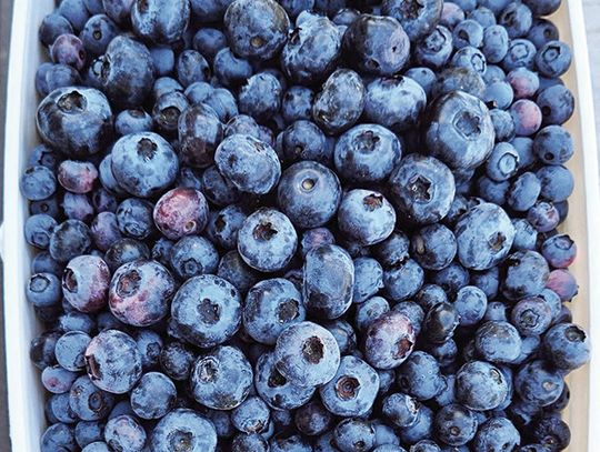 MACOMB FARMER’S MARKET VENDOR SPOTLIGHT