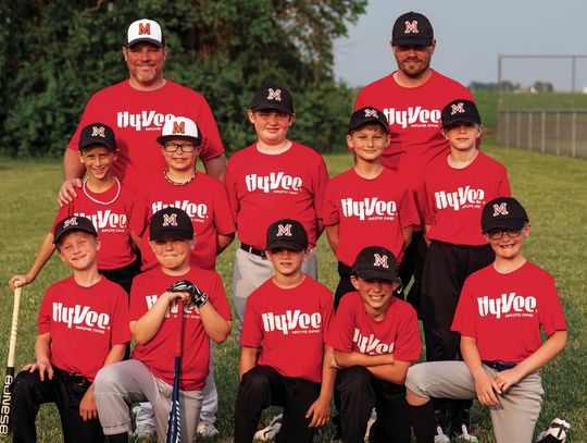 Photos: Macomb Little League Teams, 2025