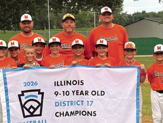 Macomb Little Leaguers Capture District 17 Title