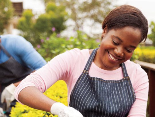 Master Gardener Hybrid Training Registration Now Open for Fall 2026 Program