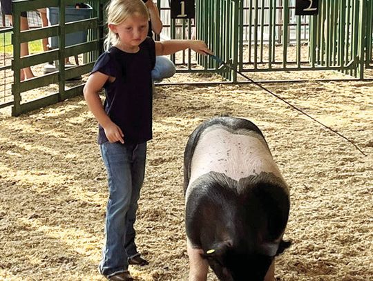 McDonough County 4-H Fair Results - Continued