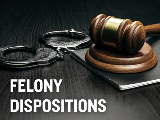 October Felony Dispositions