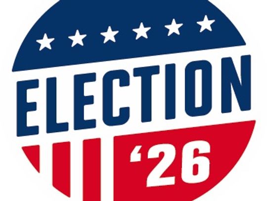 On the Ballot: The Referendum