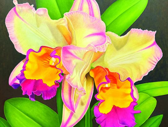 Orchidelirium Exhibit at WIU Art Gallery