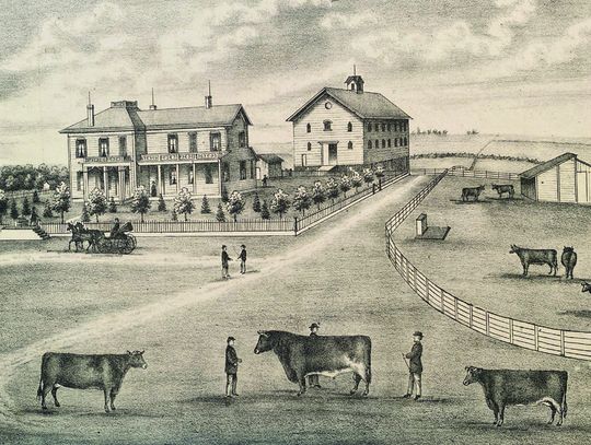 Pioneers of The Past