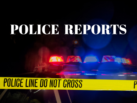 POLICE REPORTS