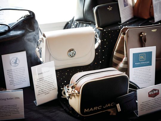 Power of the Purse Raises Over $65k